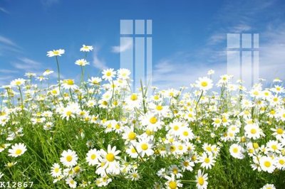 File tranh File gốc in tranh tổng hợp K12867 (ảnh gốc) cho in ấn kỹ thuật số