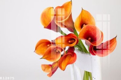 Tải file File gốc in tranh tổng hợp K12875 (gốc) làm tranh trang trí