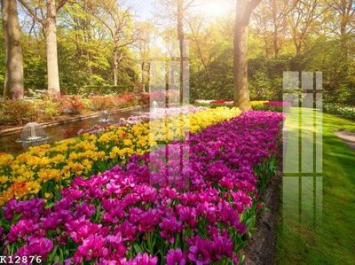 File tranh File gốc in tranh tổng hợp K12876 (file gốc) chuẩn màu in