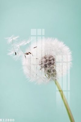 Tải file File gốc in tranh tổng hợp K12880 (ảnh gốc) file AI/EPS