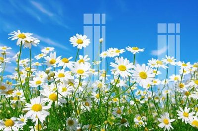 Tải file gốc File gốc in tranh tổng hợp K12882 (in khổ lớn) không vỡ