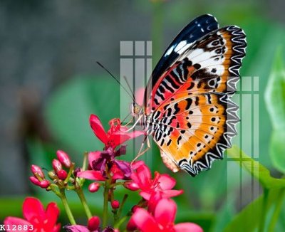 File gốc File gốc in tranh tổng hợp K12883 (in 3D) nghệ thuật