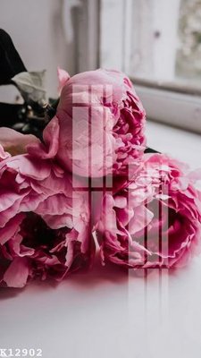 File ảnh File gốc in tranh tổng hợp K12902 (gốc) in PP, decal