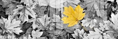 File in trần File gốc in tranh tổng hợp K12972 (bản gốc) đại dương