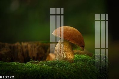 File gốc File gốc in tranh tổng hợp K13322 (in 3D) cho trang trí