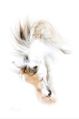 File tranh ảnh gốc File gốc in tranh tổng hợp K13344 dùng cho in khổ lớn