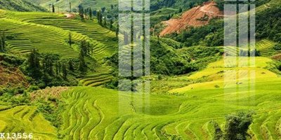 Download file File gốc in tranh tổng hợp K13556 (gốc) in mica cao cấp