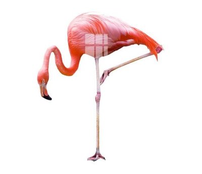 File tranh in mica File gốc in tranh tổng hợp K13645 (độ phân giải cao)