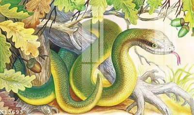 Download file tranh PSD File gốc in tranh tổng hợp K13693 để chỉnh sửa