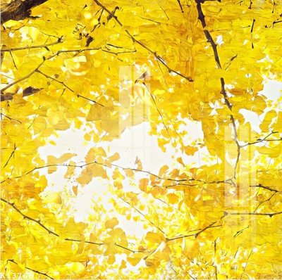 File tranh gốc File gốc in tranh tổng hợp K13766 (sắc nét từng chi tiết)