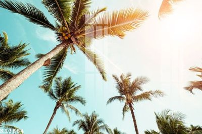 File tranh File gốc in tranh tổng hợp K13884 (bản gốc) treo quán cafe