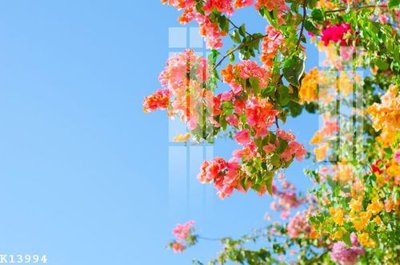 File gốc File gốc in tranh tổng hợp K13994 cho in ấn và thiết kế