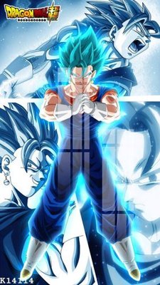 File in mica File gốc in tranh tổng hợp K14114 (bản gốc) làm vách ngăn