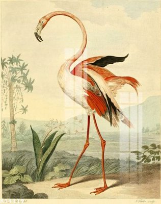 File in mica File gốc in tranh tổng hợp K14119 (bản gốc) siêu trong