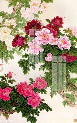 File ảnh File gốc in tranh tổng hợp K14585 (gốc) dùng in Pano