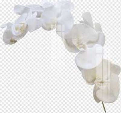 File in mica File gốc in tranh tổng hợp K14715 (bản gốc) sắc sảo