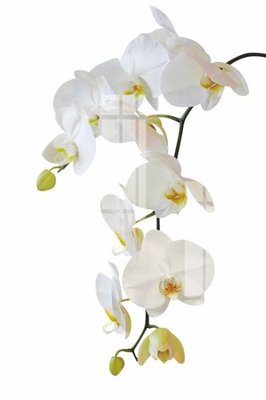 File gốc File gốc in tranh tổng hợp K15063 (trang trí) phòng làm việc