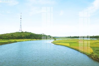 File in trần File gốc in tranh tổng hợp K15151 (file gốc) phong thủy