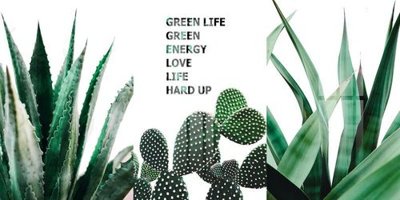 File gốc File gốc in tranh tổng hợp K15177 (in tráng gương) hiện đại