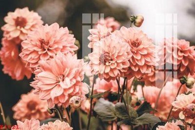 File PSD in ấn File gốc in tranh tổng hợp K1521 (chất lượng cao)