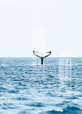 Download file gốc File gốc in tranh tổng hợp K15229 (dùng cho in ấn)