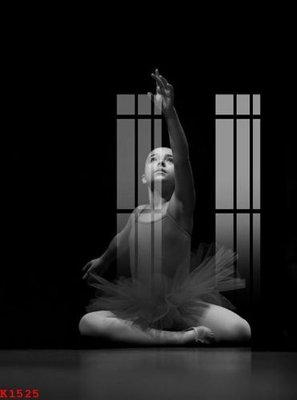 Chi tiết file gốc File gốc in tranh tổng hợp K1525 (cho in tráng gương)