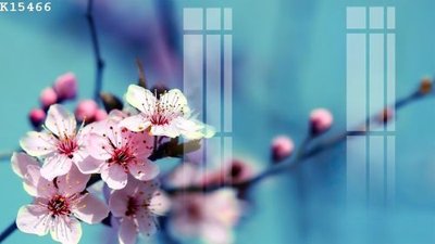 File tranh File gốc in tranh tổng hợp K15466 (bản gốc) trang trí văn phòng