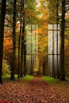 File gốc in tráng gương File gốc in tranh tổng hợp K1548 chi tiết