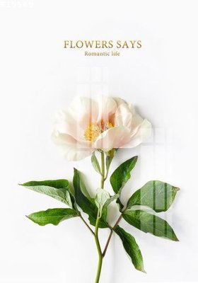 Tải file File gốc in tranh tổng hợp K15565 (gốc) in trên mọi chất liệu