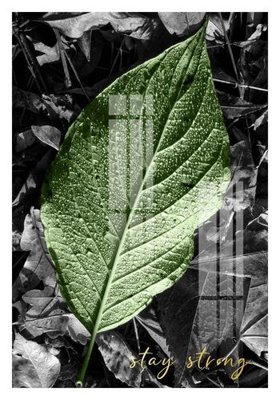 Tải file gốc File gốc in tranh tổng hợp K15566 (bản PSD) chỉnh sửa được