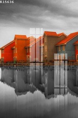 File in trần File gốc in tranh tổng hợp K15636 (bản gốc) hoa văn