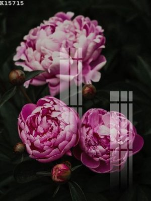 File gốc File gốc in tranh tổng hợp K15715 (in mica) làm bảng hiệu