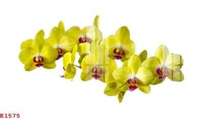 File tranh gốc File gốc in tranh tổng hợp K1575 chủ đề hiện đại