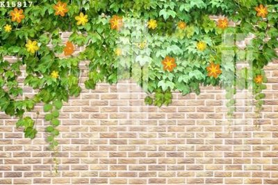 File in trần File gốc in tranh tổng hợp K15817 (file gốc) xuyên sáng