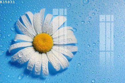 File PSD File gốc in tranh tổng hợp K15831 (bản gốc) đã tách nền