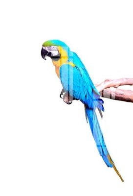 File PSD File gốc in tranh tổng hợp K15906 (chất lượng in ấn)