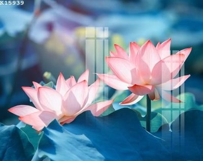 File tranh File gốc in tranh tổng hợp K15939 (ảnh gốc) độc quyền