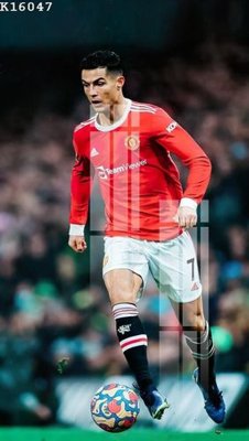 File gốc File gốc in tranh tổng hợp K16047 (in 3D) nghệ thuật