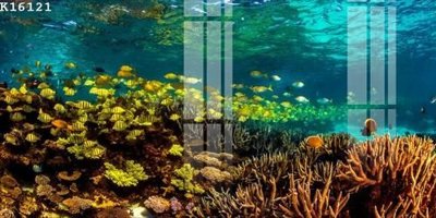 Tải file File gốc in tranh tổng hợp K16121 (PSD) cho in tranh 3D