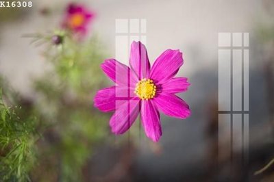 Download file gốc File gốc in tranh tổng hợp K16308 (in mica) trong suốt