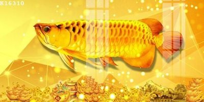 File tranh File gốc in tranh tổng hợp K16310 (gốc) chủ đề con người