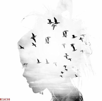 File gốc File gốc in tranh tổng hợp K1638 (cho in UV) siêu nét