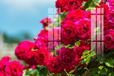 File tranh trang trí File gốc in tranh tổng hợp K1639 (file gốc)