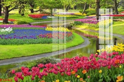 Tải file gốc File gốc in tranh tổng hợp K1642 (in khổ lớn) không mờ