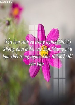 Download file gốc File gốc in tranh tổng hợp K16440 (in mica) trong suốt