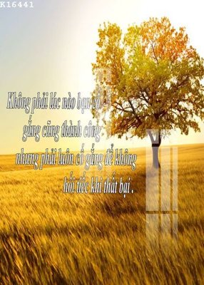 Ảnh mô tả file gốc in mica File gốc in tranh tổng hợp K16441