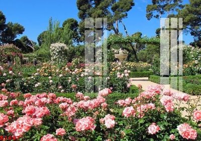 Ảnh gốc File gốc in tranh tổng hợp K1647 (siêu chi tiết) để in ấn