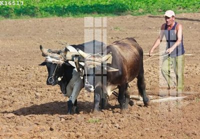 File tranh trang trí File gốc in tranh tổng hợp K16513 (tải file gốc)