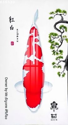 File ảnh File gốc in tranh tổng hợp K16530 (gốc) in poster