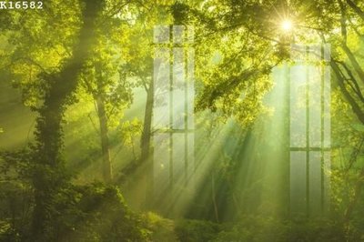 Tệp tin gốc File gốc in tranh tổng hợp K16582 (chất lượng cao) File gốc in tranh tổng hợp K16582